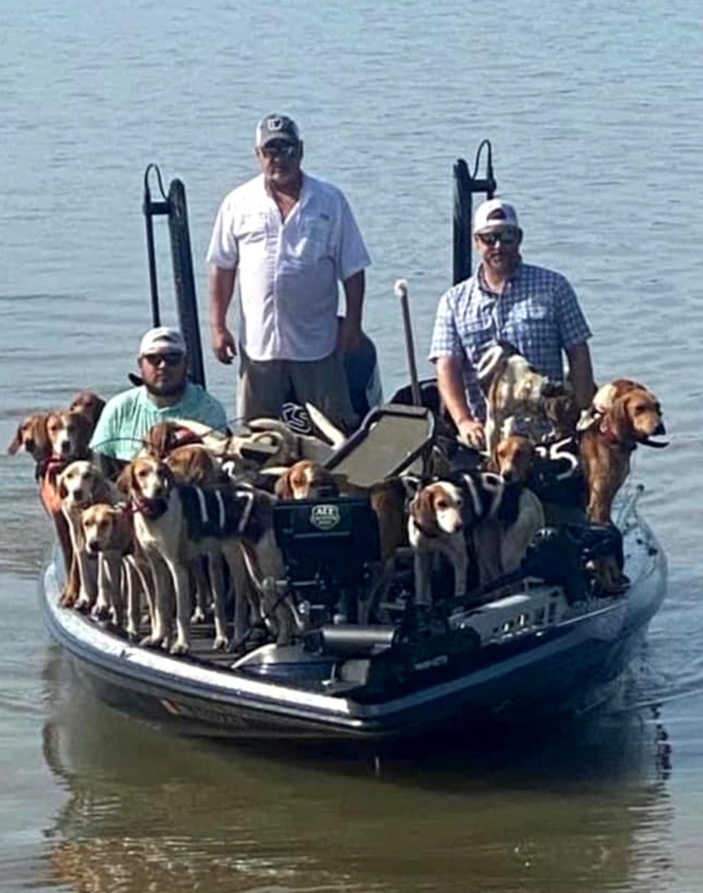 A boat with three fishermen and 27 fox hounds.