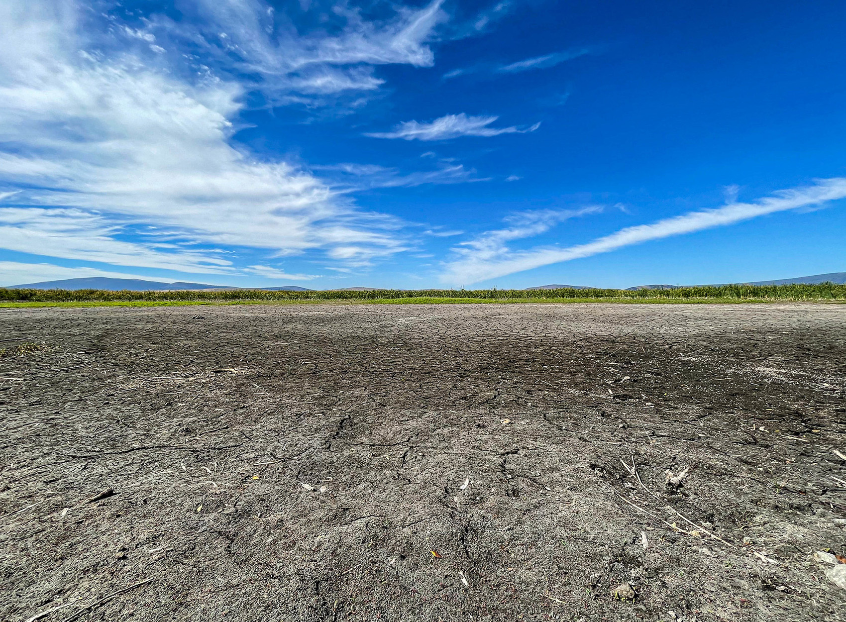 A bone dry wetland.