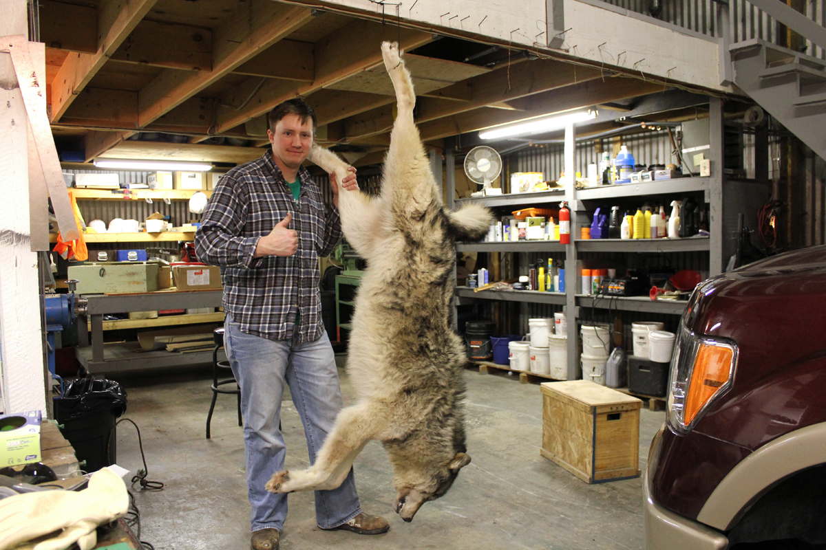 offset Tochi boom Trouw How to Properly Care for and Skin a Wolf Hide
