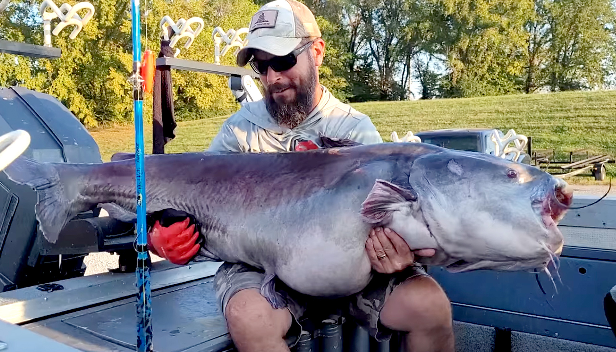 Pending Record Blue Catfish Caught And Released In Tennessee