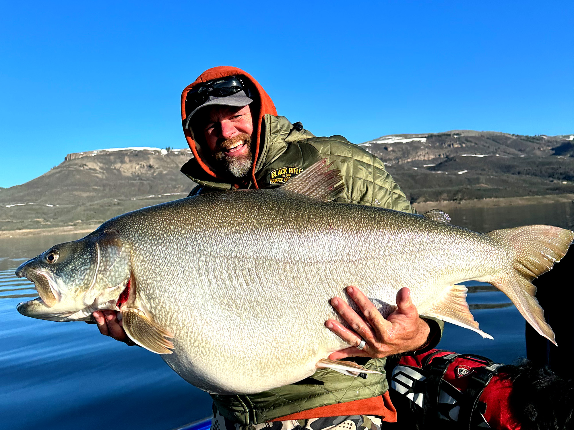 73 pound 47 “Lake Trout caught in Colorado | Michigan Sportsman Forum
