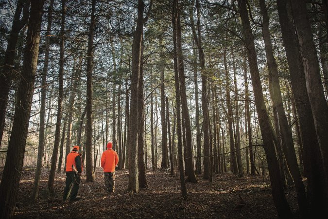 Two hunters on a deer drive.