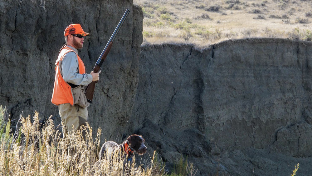 Land Tawny hunting public land