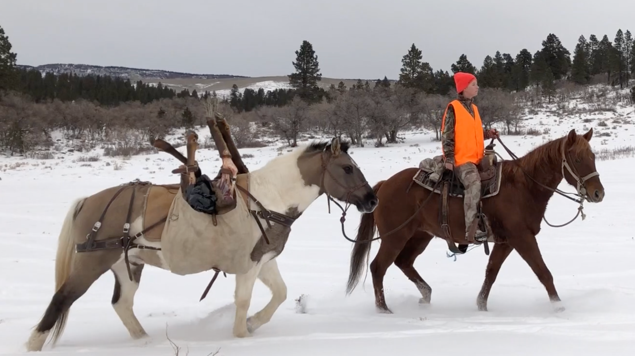 elk hunter horseback