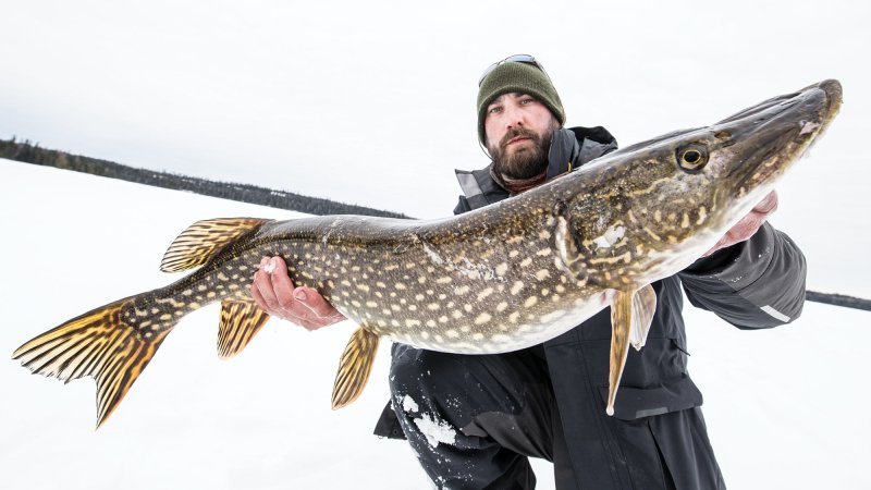 lukas leaf ice fishing giant pike