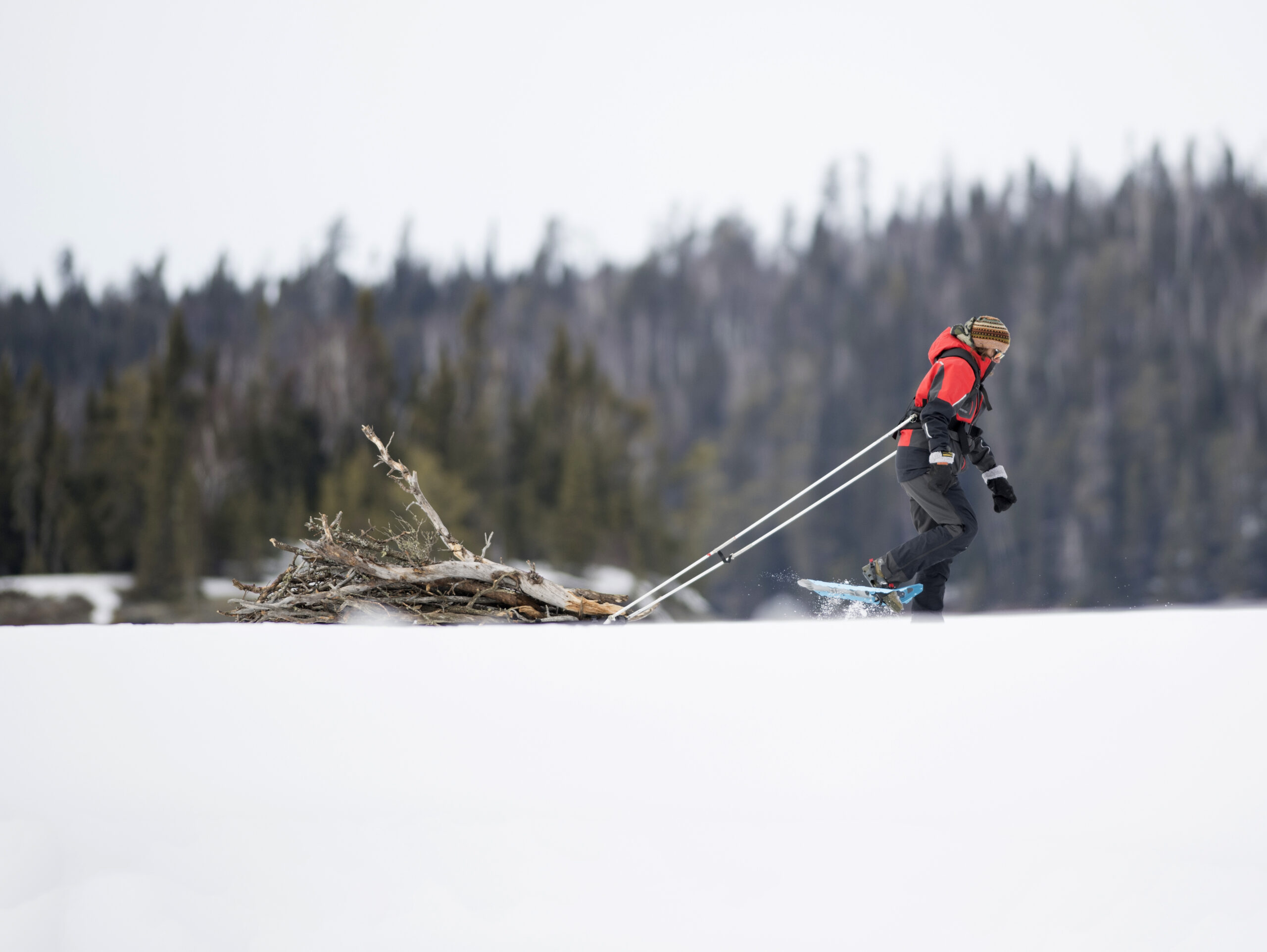 pulk-boundary-waters-firewood