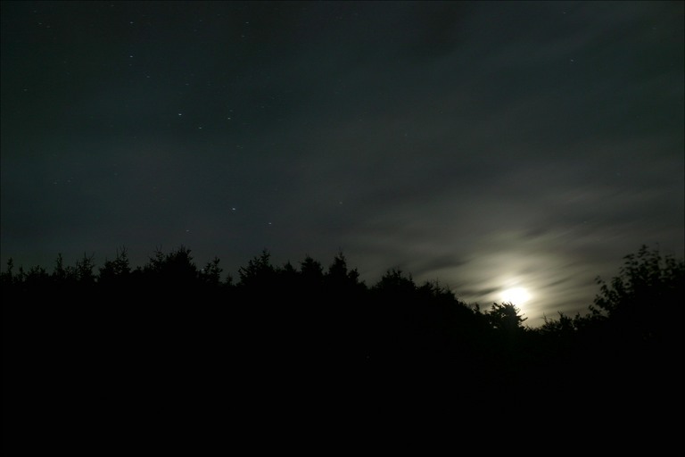 httpswww.outdoorlife.comsitesoutdoorlife.comfilesimport2014importImage2009photo7night-sky-in-cape-breton.jpg