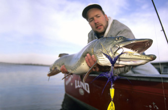 Fishing Vertical for Muskies