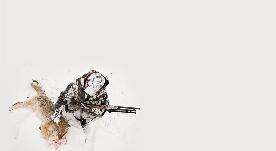 Dog Pounders: America's Best Predator Hunters Reveal their Top Coyote ...