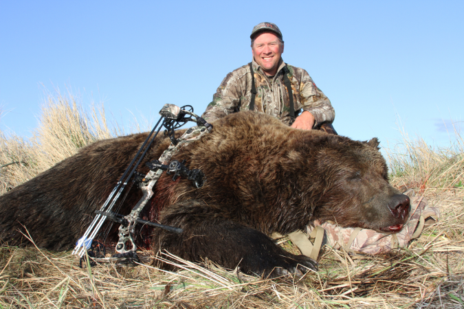 alaska brown bear