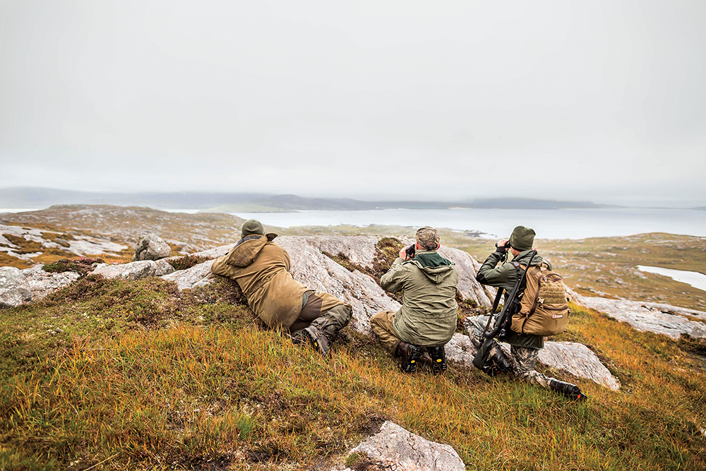 scouting for stags