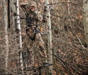 Hunting Wapiti From Treetops