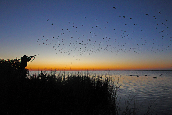 Cast and Blast: Duck Hunting and Fishing for Redfish in Texas