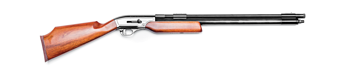 best airguns, best rifles, airgun test, rifle test, big game, small game, varmints