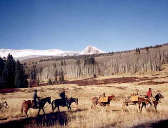 Yellowstone Horse And Mule - All You Need to Know BEFORE You Go (2024)