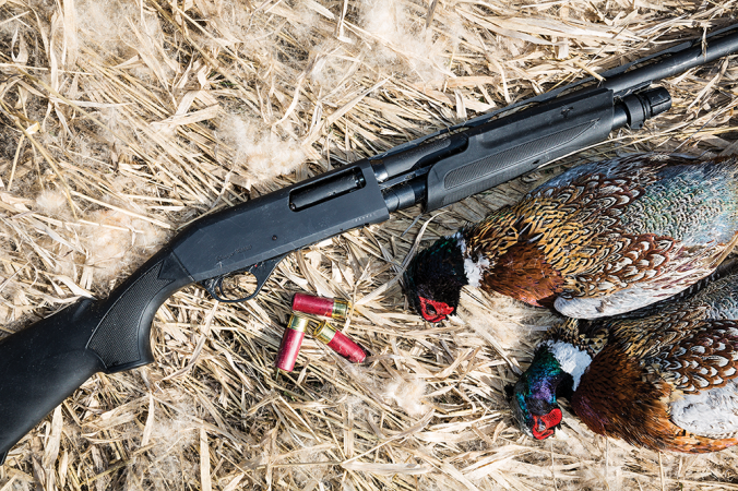 stoeger-p3000-pump-pheasant