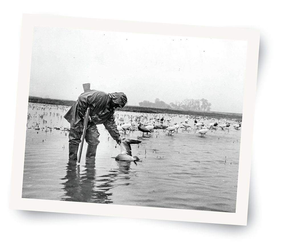 Kohler waterfowl hunting