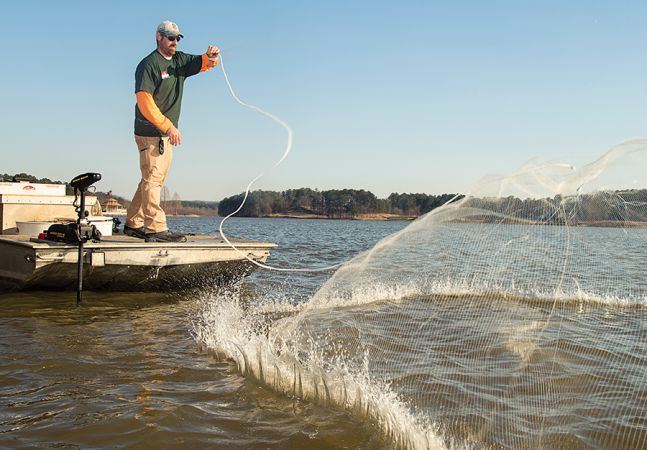 McNew skillfully slings his cast net on Georgia’s Lake Allatoona