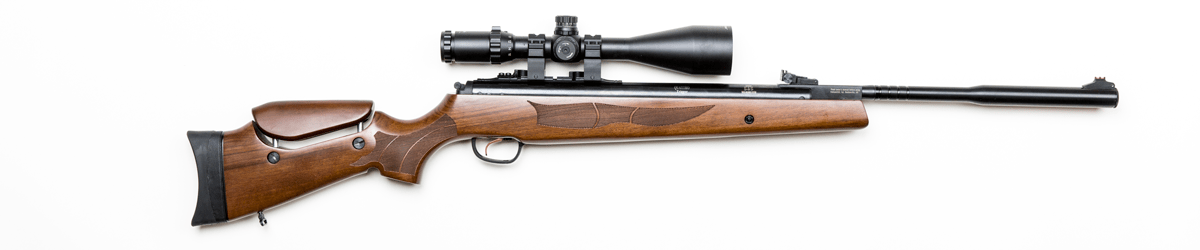 best airguns, best rifles, airgun test, rifle test, big game, small game, varmints