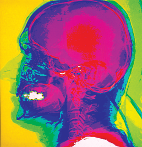 Your Brain on Survival: The Physiological Response to a Life ...