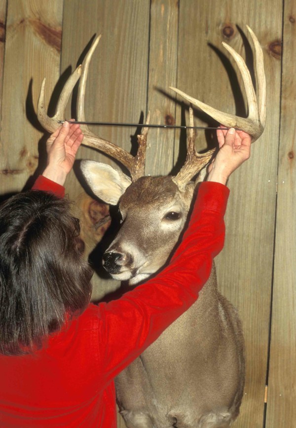 Scoring A Buck - Wideners Shooting, Hunting & Gun Blog