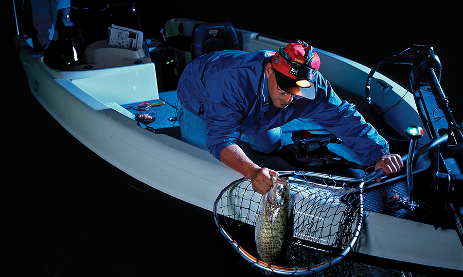 catching bass at night