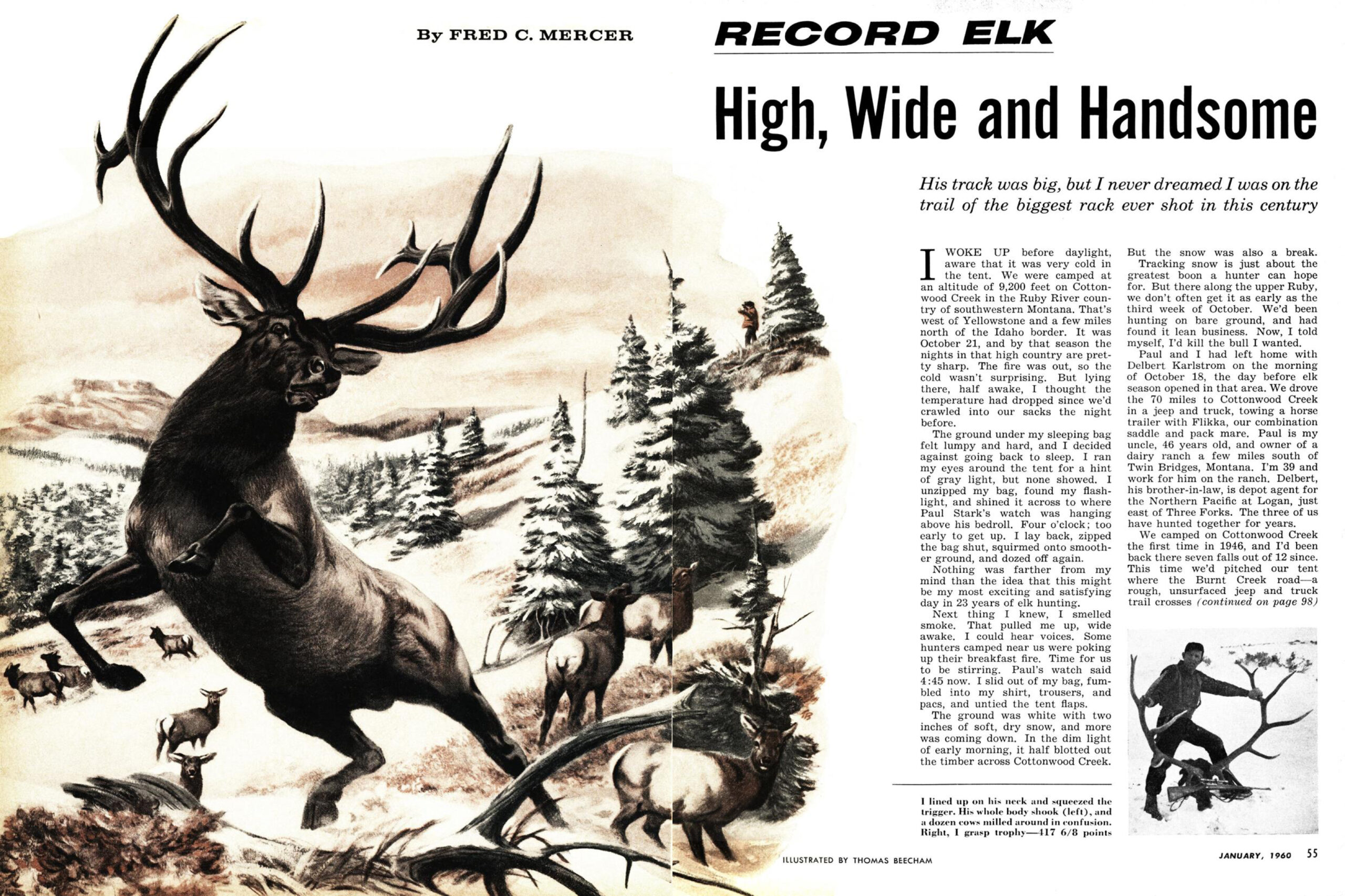 fred mercer record bull story