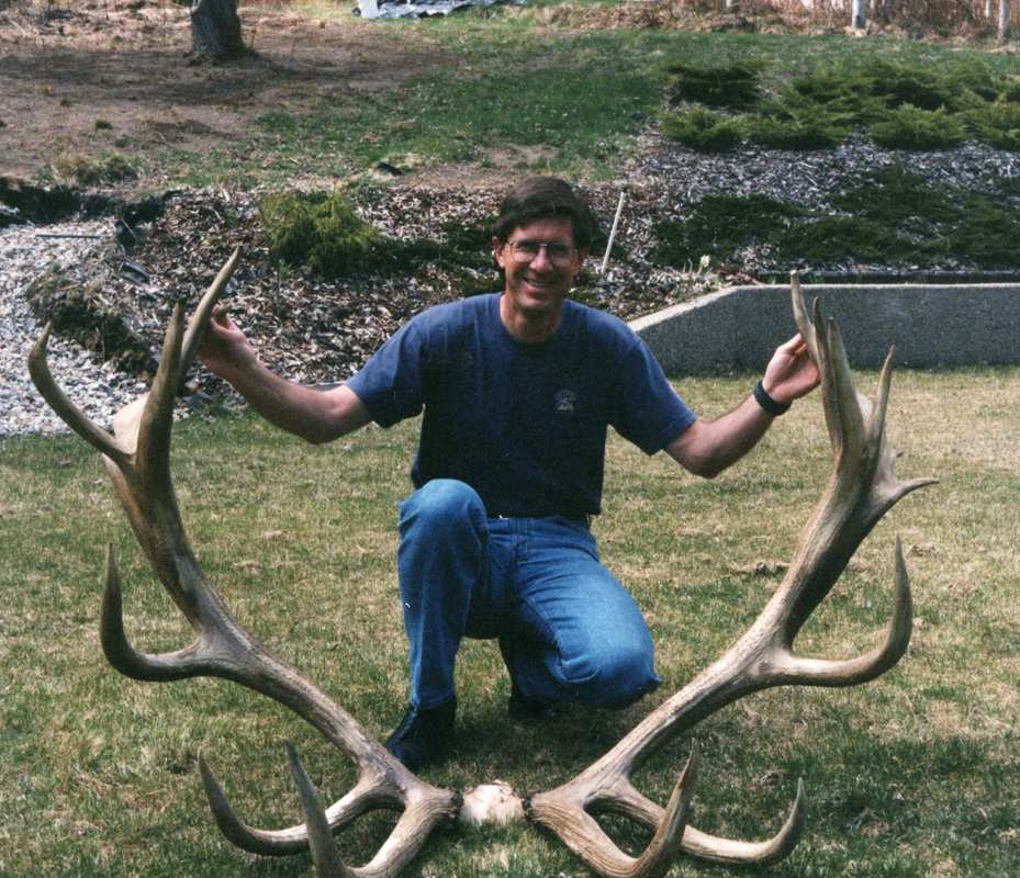 2 nontypical bull elk