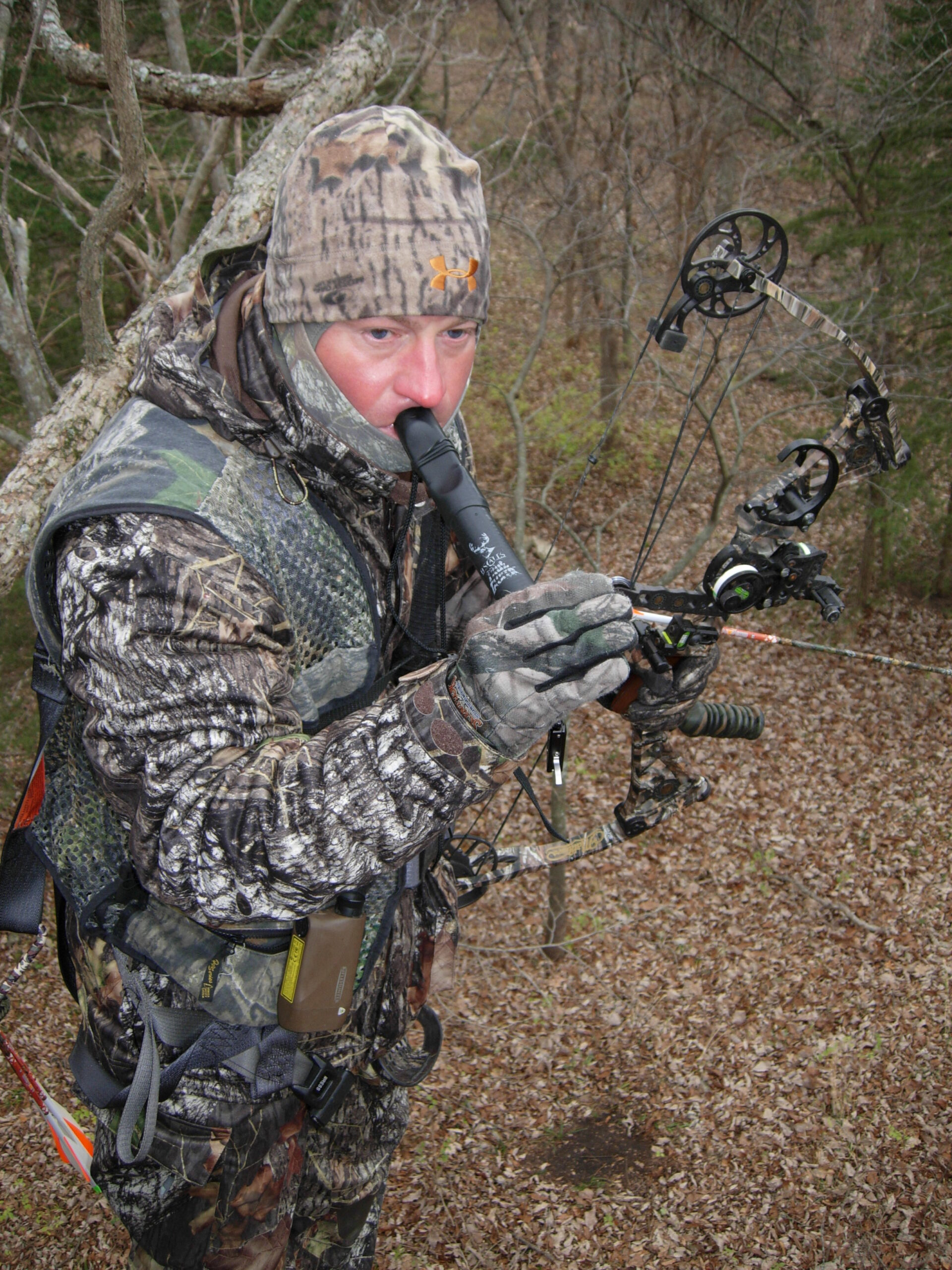 A bowhunter grunts in a treestand.