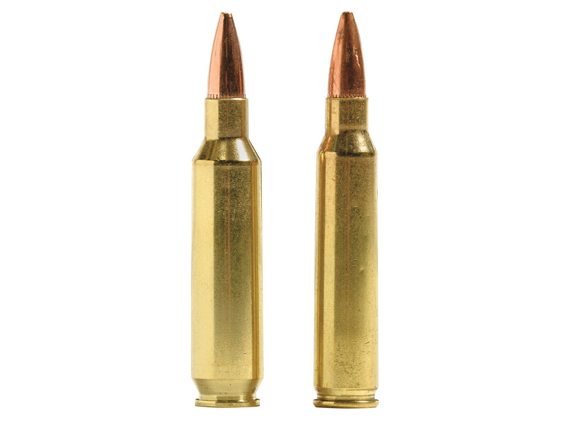 22 Nosler: New Round Has Potential For Varmints, Competition, and Even Big  Game