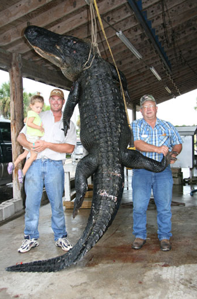 httpswww.outdoorlife.comsitesoutdoorlife.comfilesimport2014importImage2010photo10013215799_gator_3.jpg