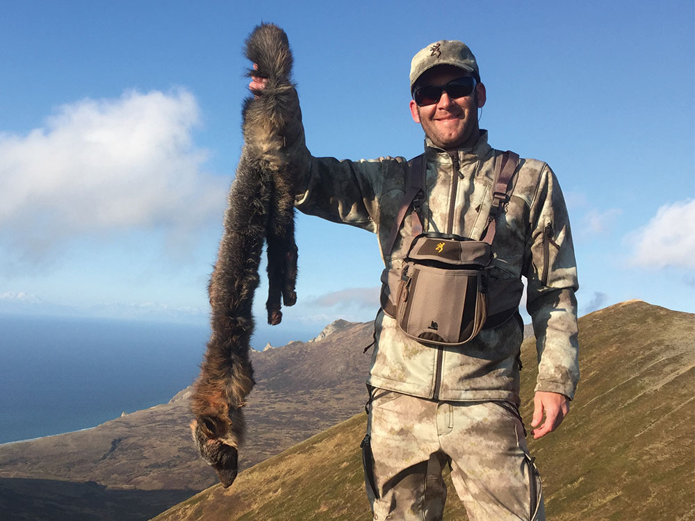 Arctic fox hunting