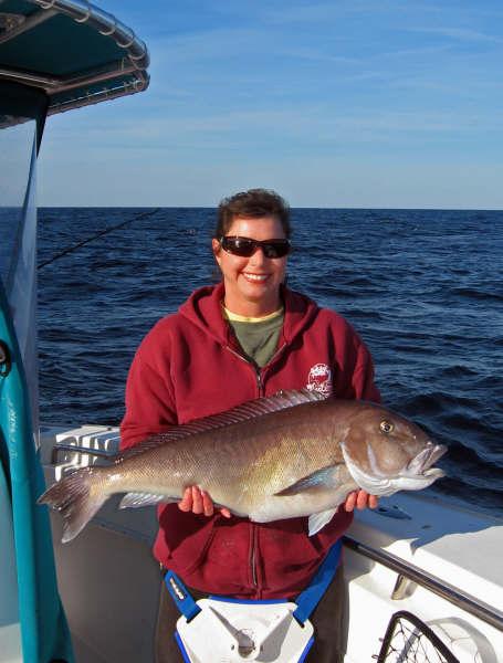 httpswww.outdoorlife.comsitesoutdoorlife.comfilesimport2014importImage2009photo3bigbluelineTilefish_0.jpg