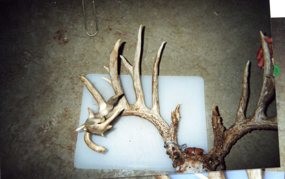 Schmucker ohio buck