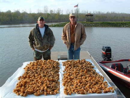 Hunting Morel Mushrooms