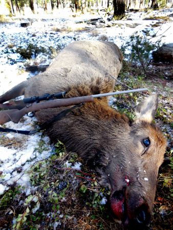 Packing Time: A Solo Elk Hunt