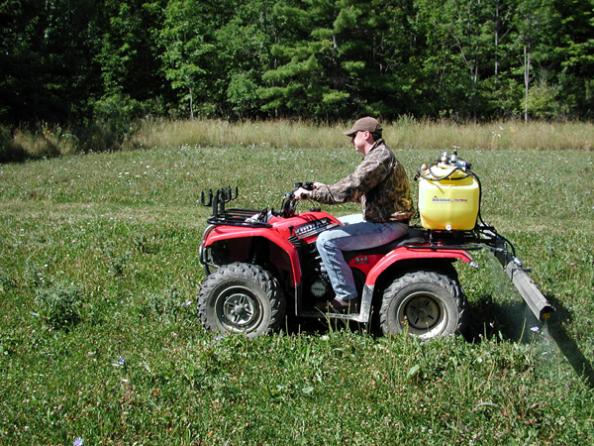 The Cheapest Food Plot You’ll Ever Plant