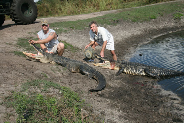 httpswww.outdoorlife.comsitesoutdoorlife.comfilesimport2013images2010088_gator1_0.jpg