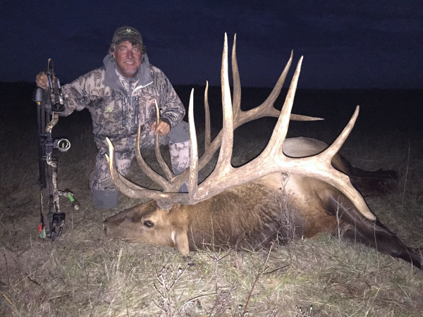 archery bull elk