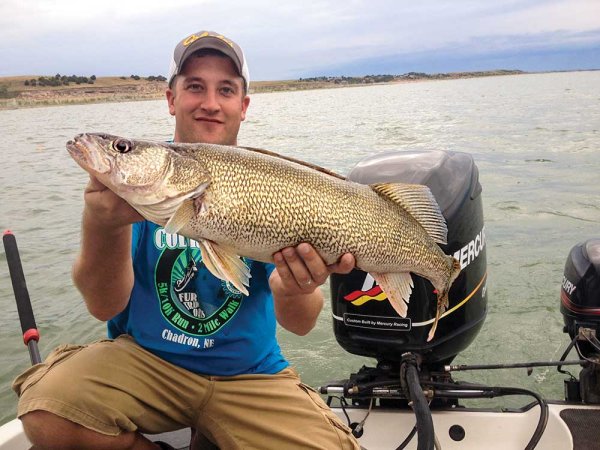 fall walleye