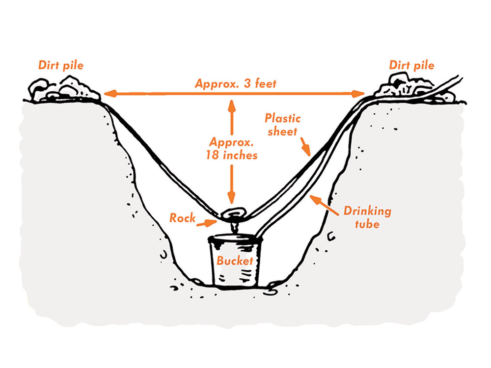 survival how to solar still