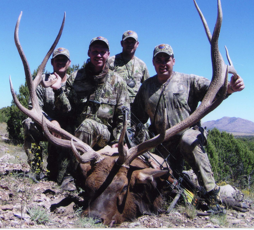 #17 Typical Bull Elk