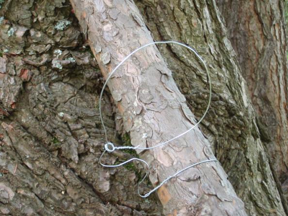 Small Game Snare Traps, 12 Pack