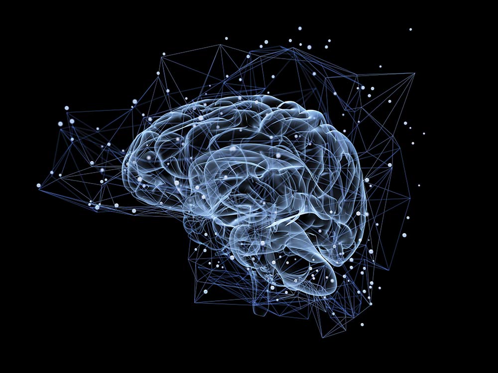 Brain tech diagram