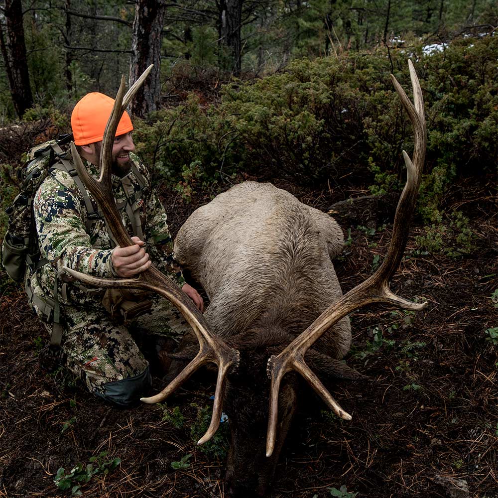 sam soholt open country bus tom elk hunting