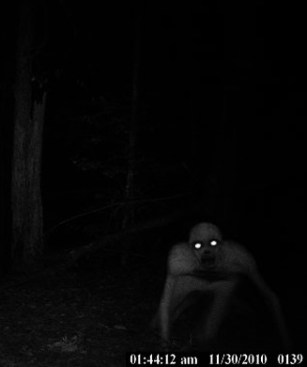 Halloween Photos: 30 Freaky Trail Camera Shots