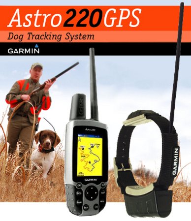 Where to Buy Gun Dog Supplies