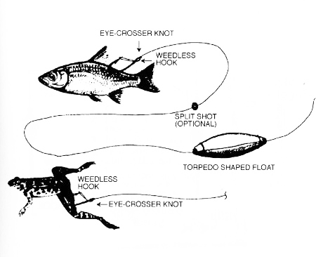 Weedless Bass Bait Rigs