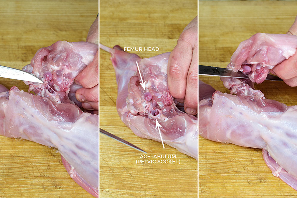 how to butcher a rabbit