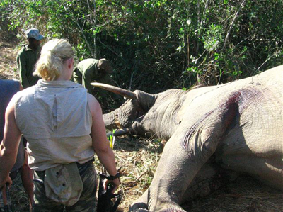 httpswww.outdoorlife.comsitesoutdoorlife.comfilesimport2014importImage2008legacyoutdoorlifeelephant_huntress_18.jpg